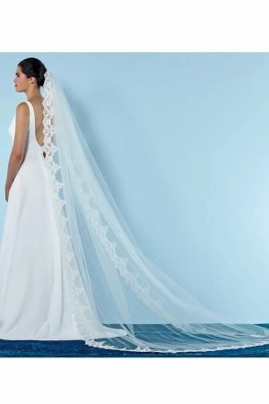 Veil - Vintage style / Beaded Lace Trimmed - Ivory Cathedral